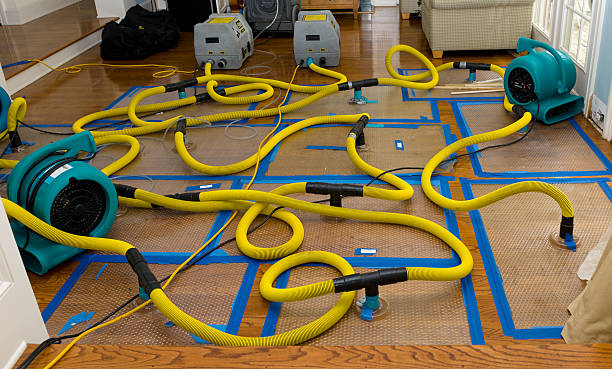 Professional Storm Water Damage Restoration technician working in Delphos, OH